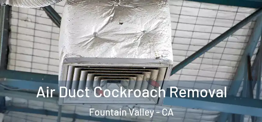  Air Duct Cockroach Removal Fountain Valley - CA