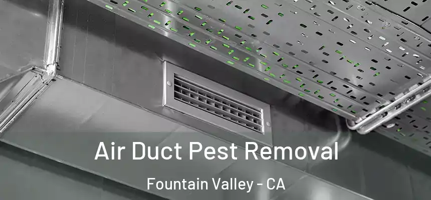 Air Duct Pest Removal Fountain Valley - CA