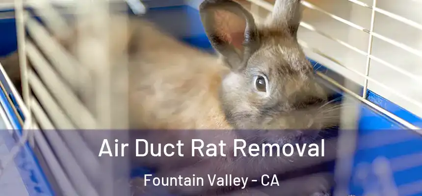  Air Duct Rat Removal Fountain Valley - CA