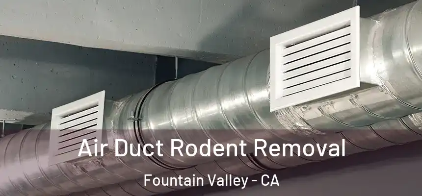  Air Duct Rodent Removal Fountain Valley - CA