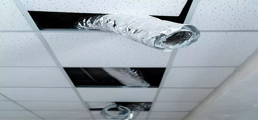 Affordable HVAC Sanitizing After Pest Removal in Fountain Valley