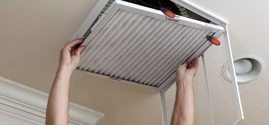 Our Insect Removal from Air Ducts Services in Fountain Valley, CA