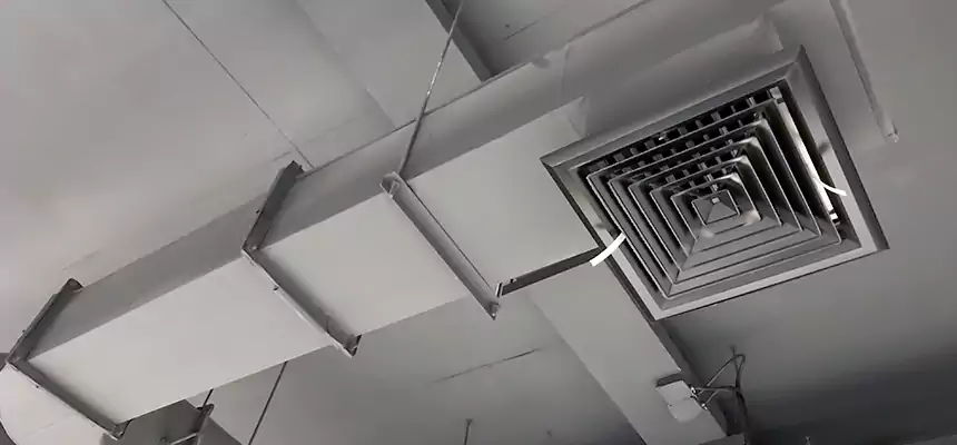 Our Pest Removal From Ducts Services in Fountain Valley, CA