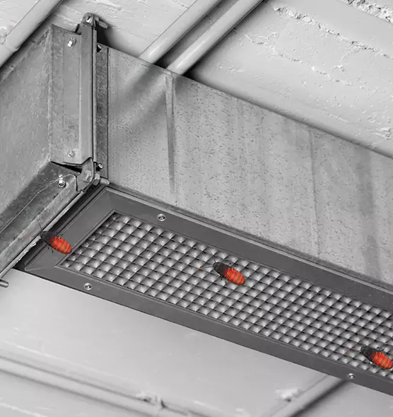 Affordable Insect Removal from Air Ducts in Fountain Valley, CA