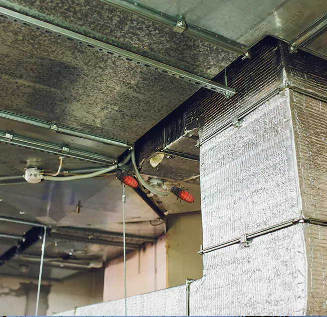 Why Homeowners & Businesses Trust Us in Fountain Valley, CA?