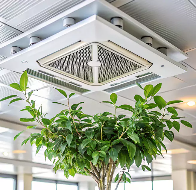 Why Homeowners & Businesses Trust Us in Fountain Valley, CA?